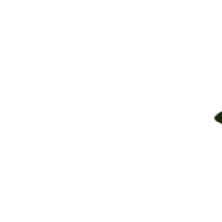 Angeln Angler Gifs