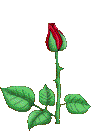 Blumen Gifs und Cliparts