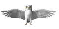 Eule Gif und Cliparts
