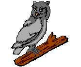 Eule Gif und Cliparts