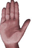 hand Hände Finger Faust  Gif und Cliparts