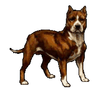 Hunde Dogs Gif und Cliparts