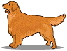 Hunde Dogs Gif und Cliparts