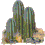 Kaktus  Gifs und Cliparts