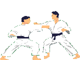 Judo Karate Kampfsport Gifs und Cliparts