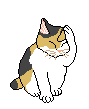 Katzen Cat  Gifs und Cliparts