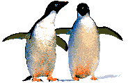 Pinguine Gifs und Cliparts
