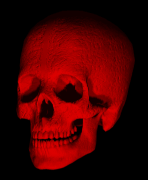 Schdel Totenkopf Totenschdel  Gifs und Cliparts
