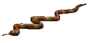 Schlangen Gifs und Cliparts