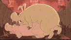 Schweine Gifs und Cliparts