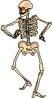 Skelette Gifs und Cliparts