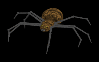 Spinne Spider Gifs und Cliparts