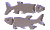 Sternzeichen  Gifs und Cliparts
