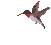 Vgel Vogel Gifs und Cliparts