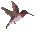 Vgel Vogel Gifs und Cliparts