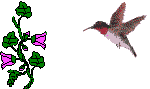 Vgel Vogel Gifs und Cliparts