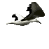 Vgel Vogel Gifs und Cliparts