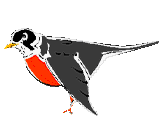 Vgel Vogel Gifs und Cliparts