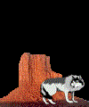 Wolf Wlfe Gifs und Cliparts