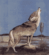 Wolf Wölfe Gifs und Cliparts